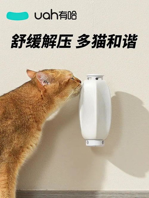当智能化养宠成为主流 胖鲸在现场体验宠物智能喂养器